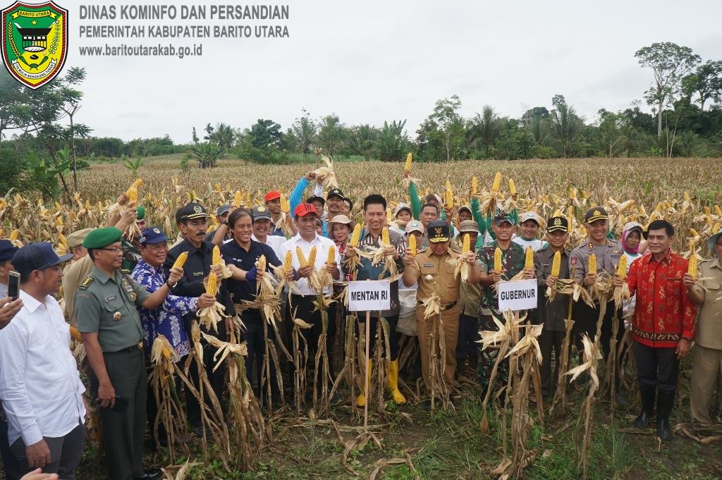 Menteri Pertanian Panen Jagung di Barito Utara