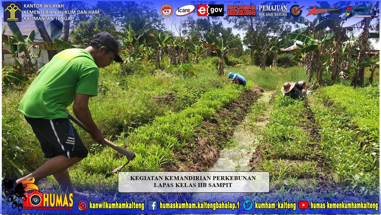 Lapas Sampit Persiapkan Lahan Untuk Bercocok Tanam
