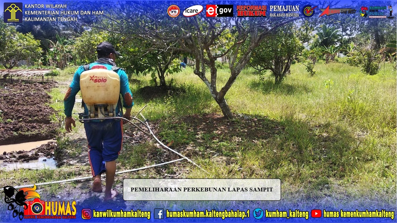 Lapas Sampit Persiapkan Lahan Untuk Bercocok Tanam