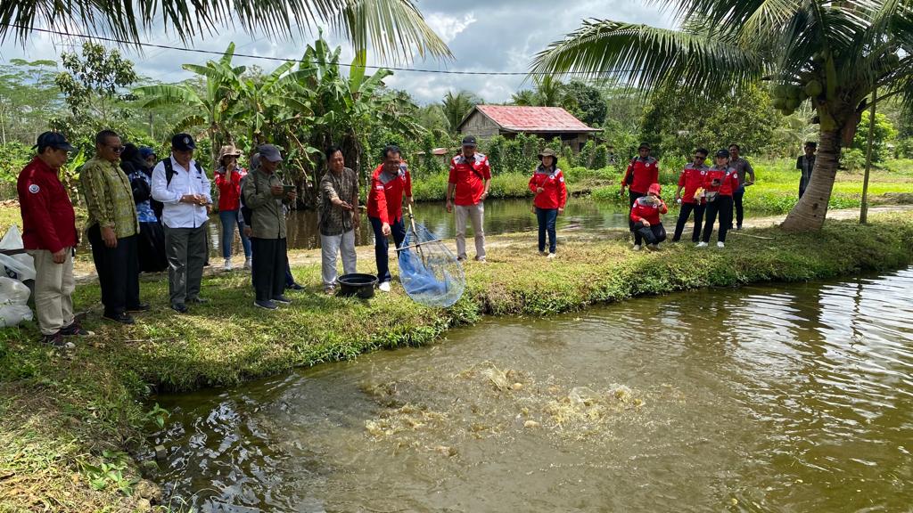 Tim IPB University Kunjungi Sentra Budidaya Patin Pokdadan Basarang Kapuas