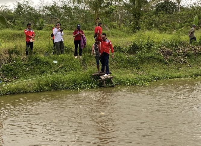 Intip Peluang Ekspor Patin Kalteng, IPB University Tinjau Sentra Budidaya Pulang Pisau