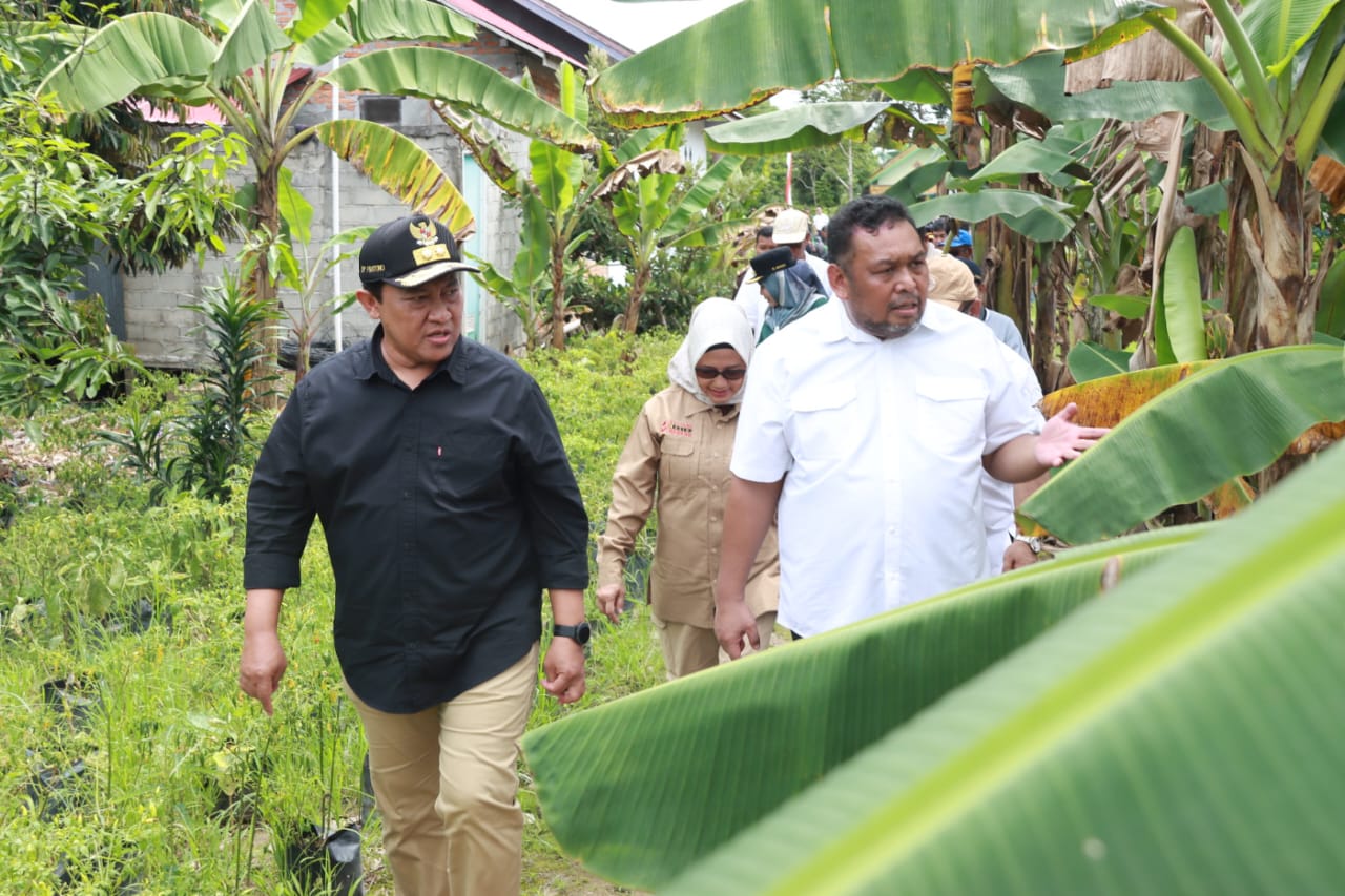 Wagub Edy Pratowo Harapkan Program Upsus Optimalisasi Lahan Rawa Tingkatkan Kesejahteraan Petani di Kalteng