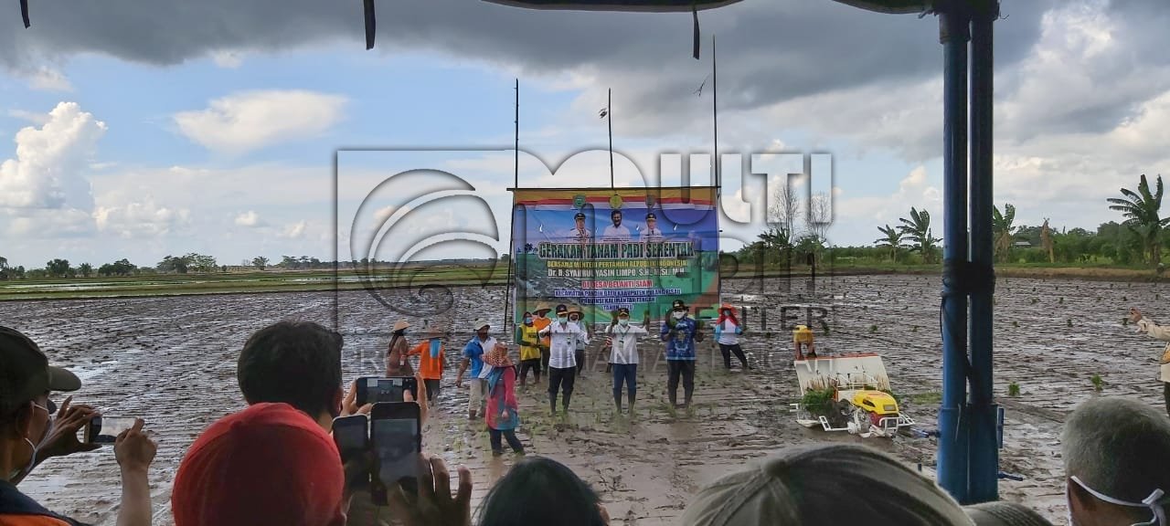 MENTERI PERTANIAN DAN GUBERNUR KALTENG TINJAU LOKASI LAHAN RAWA GAMBUT, DUKUNG PERCEPATAN TANAM PADI SEBAGAI UPAYA PROGRAM KETAHANAN PANGAN NASIONAL 