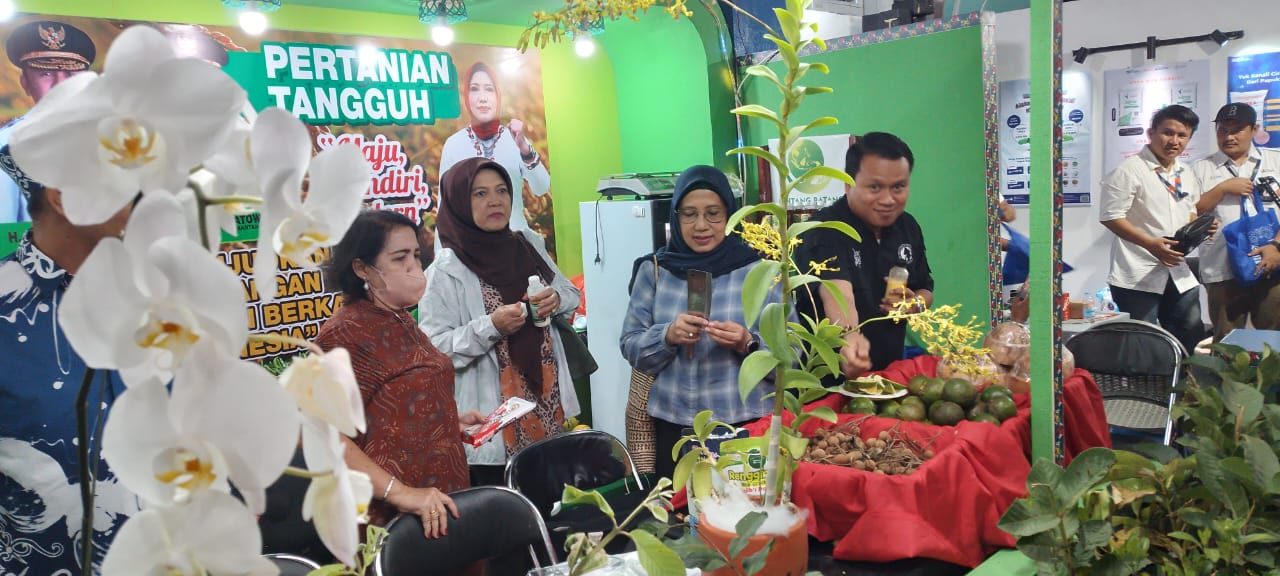 Dinas TPHP Laksanakan Rapat Koordinasi Optimasi Lahan Rawa Tahun Anggaran 2024