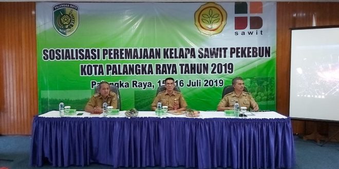 Kelompok Tani Melakukan Peremajaan Kelapa Sawit