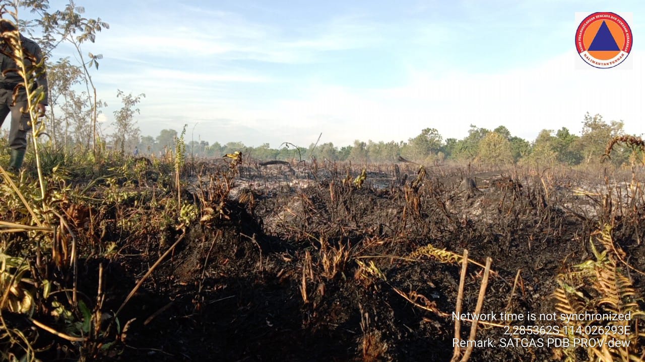 Pengelolaan Hasil Lahan Gambut Bernilai Ekonomi