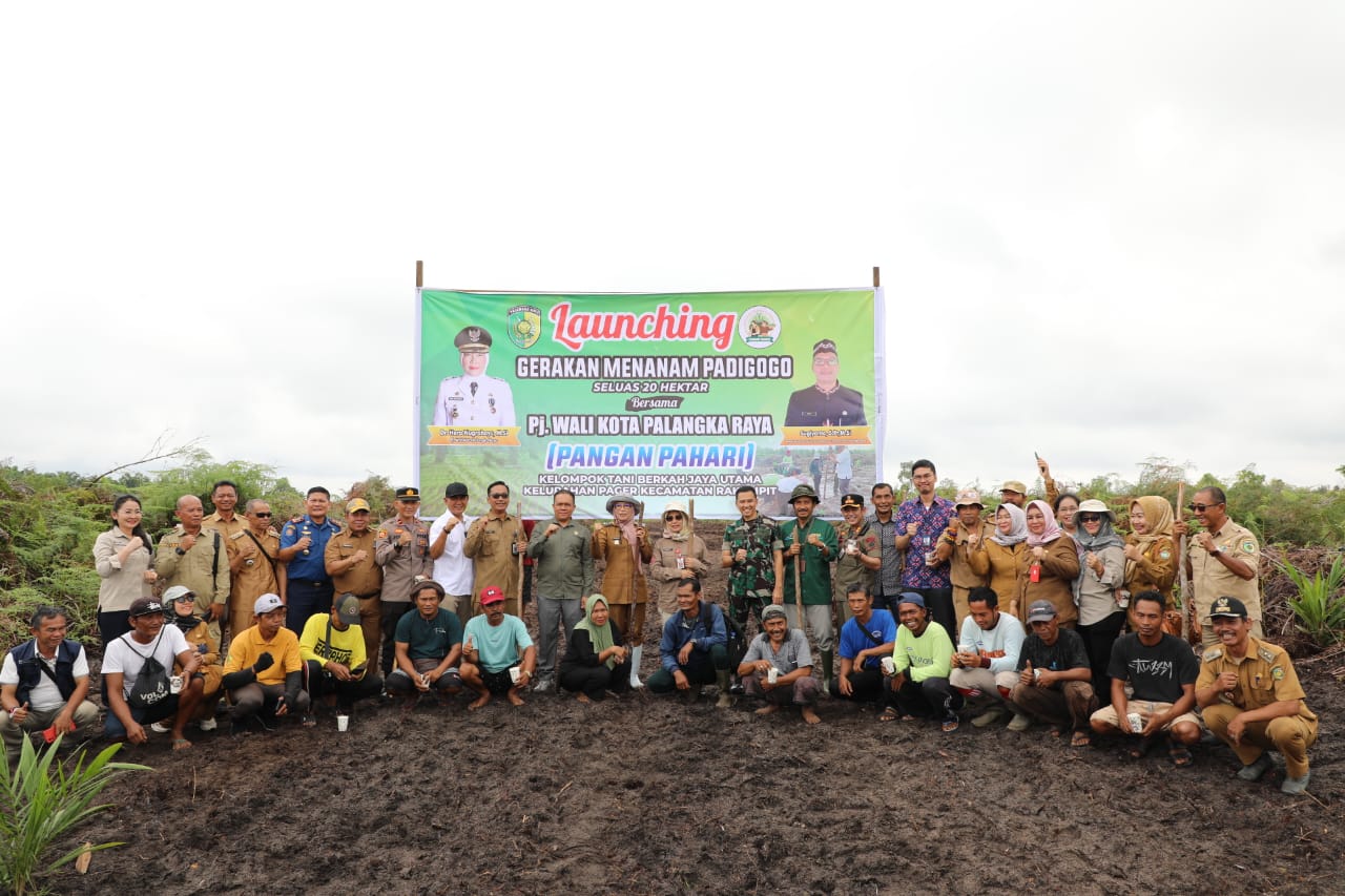 Kadis TPHP Prov. Kalteng Ikuti Launching Gerakan Menanam Padi