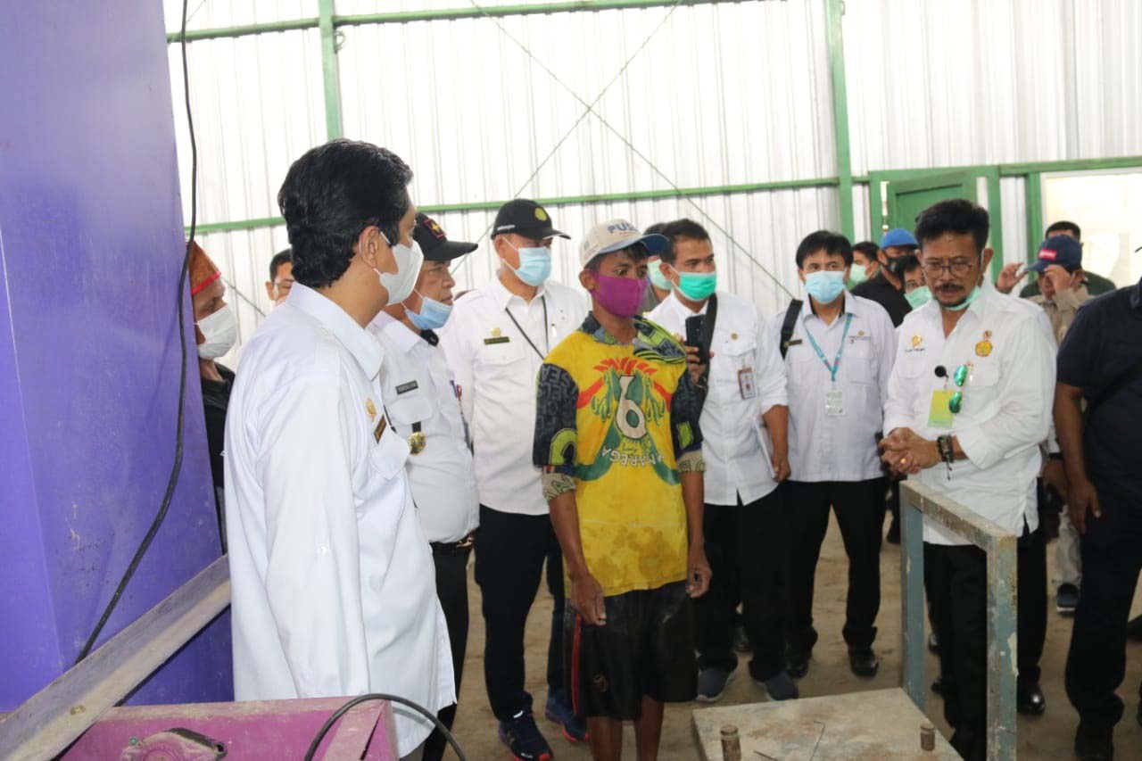 Mentan Tinjau Progres Program Pusat Keunggulan dan Kesiapan Lahan Food Estate di Desa Belanti Siam, Kabupaten Pulang Pisau