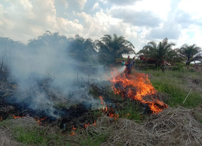 Karhutla di Desa Natai Baru, BPBD Kobar Sudah Tangani 14,5 Hektar Sejak Awal Mei