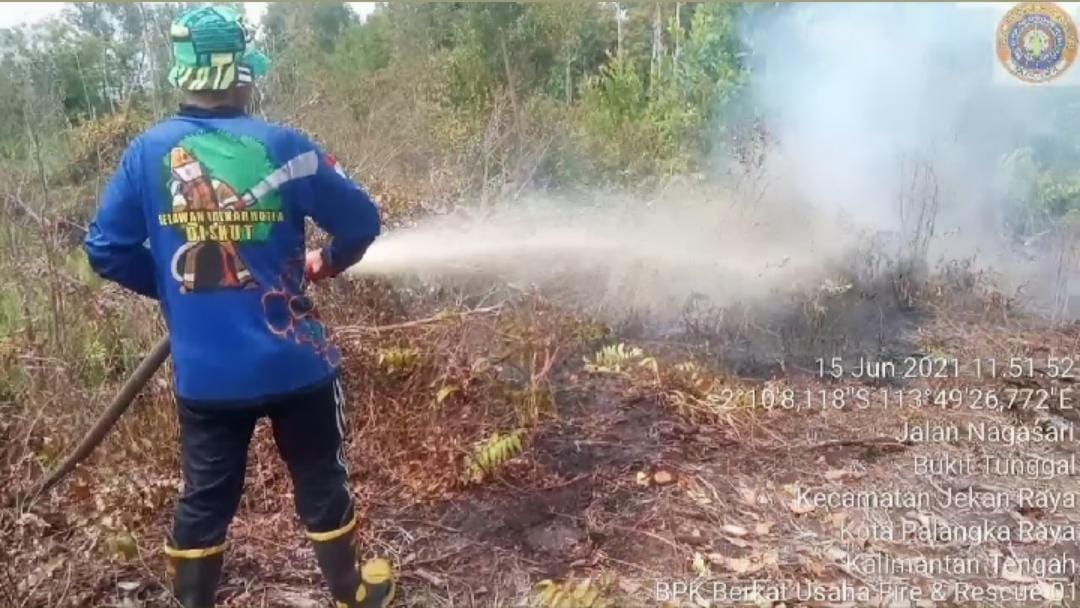 Pentingnya Sosialisasi, Imbauan dan Edukasi Tentang Bahaya Akibat Karhutla 