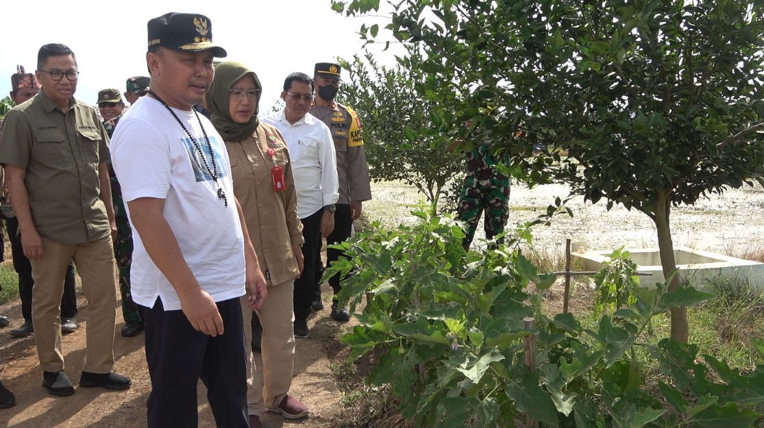 Pastikan Program Food Estate Berjalan Lancar, Gubernur Tinjau dan Menginap di Lokasi FE