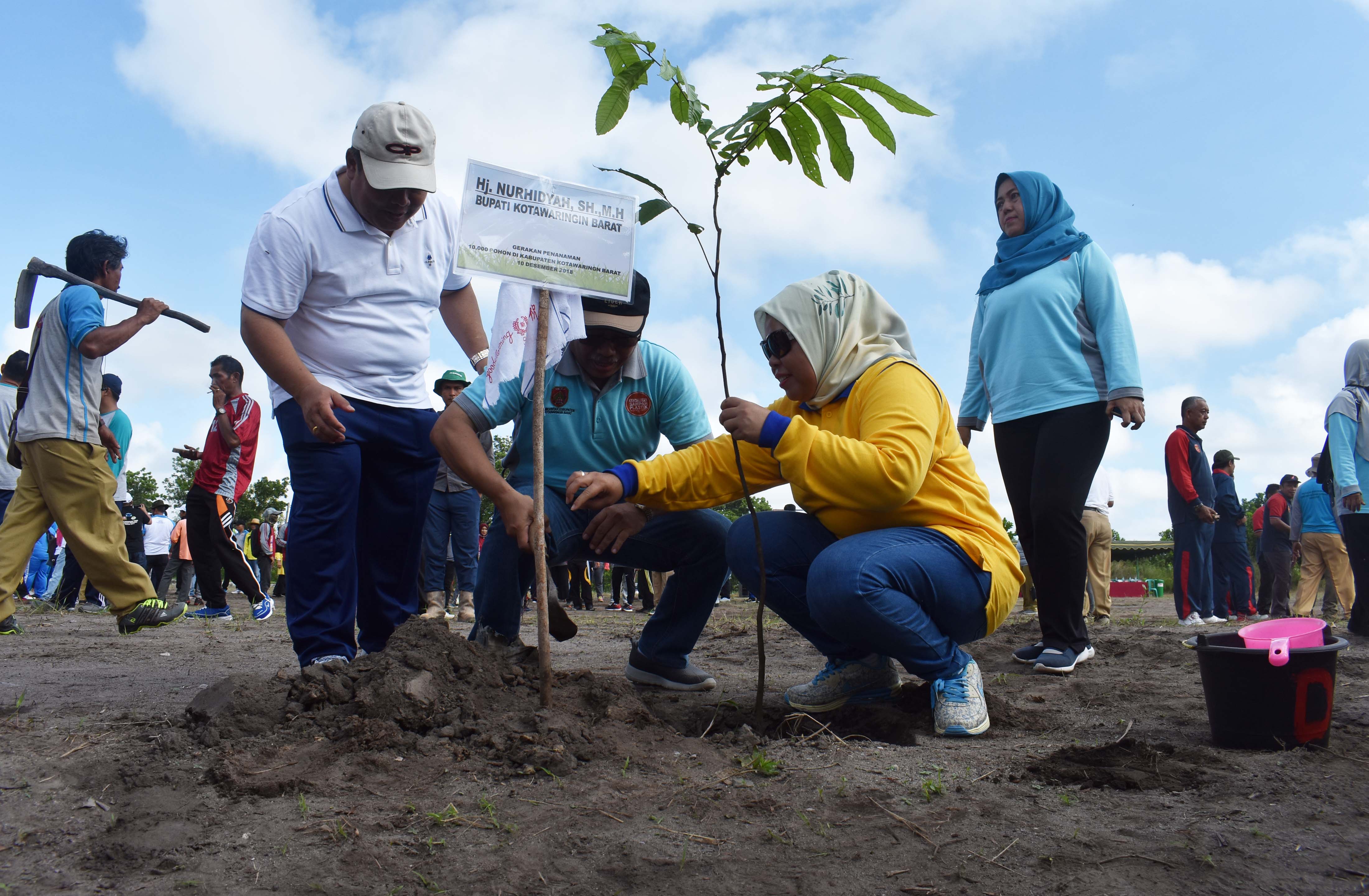Pemkab Kobar Lakukan Gerakan Penanaman 10 Ribu Pohon