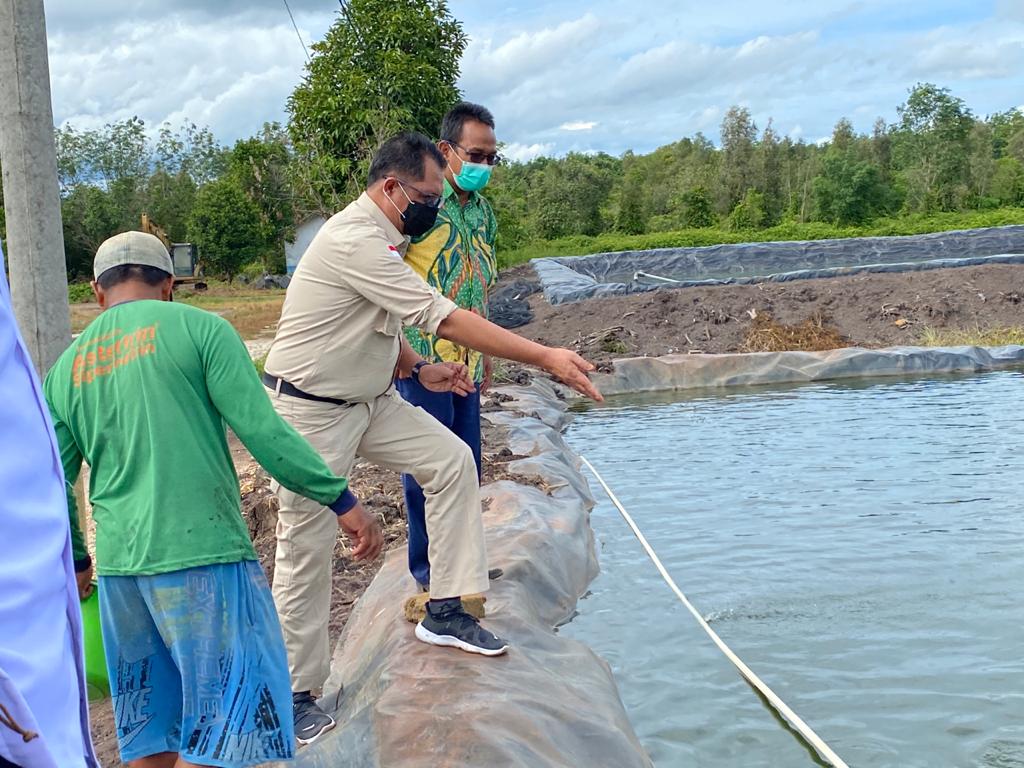 Ikan Lokal Pepuyu Harusnya Menjadi Komoditi Perikanan Budidaya Andalan Kalteng