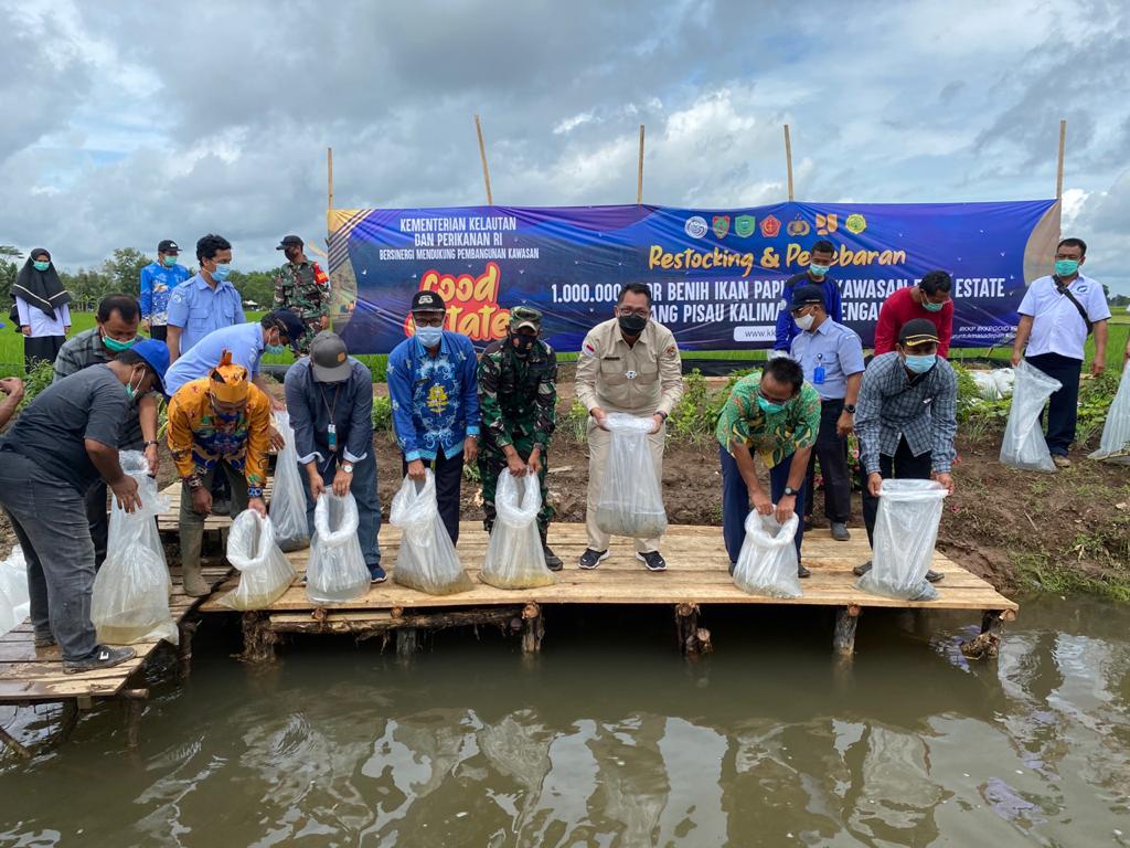 Dislutkan Kalteng dan BPBAT Mandiangin Tebar Sejuta Benih Ikan Papuyu di Kawasan Food Estate Belanti Siam Kabupaten Pulang Pisau