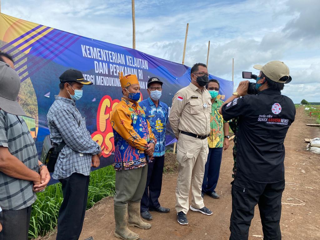 Dislutkan Kalteng dan BPBAT Mandiangin Tebar Sejuta Benih Ikan Papuyu di Kawasan Food Estate Belanti Siam Kabupaten Pulang Pisau