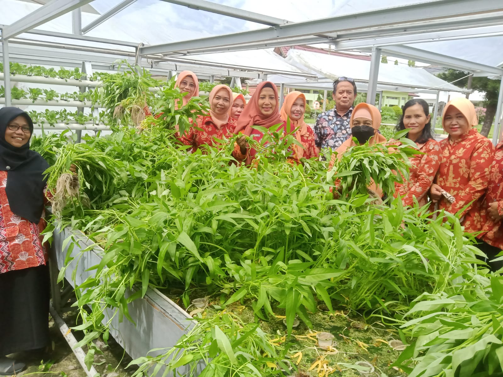 Kadis TPHP Prov. Kalteng Hadiri Panen Sayuran Hidroponik Bersama Dharma Wanita Persatuan TPHP