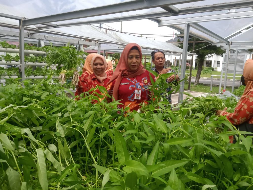 Kadis TPHP Prov. Kalteng Hadiri Panen Sayuran Hidroponik Bersama Dharma Wanita Persatuan TPHP