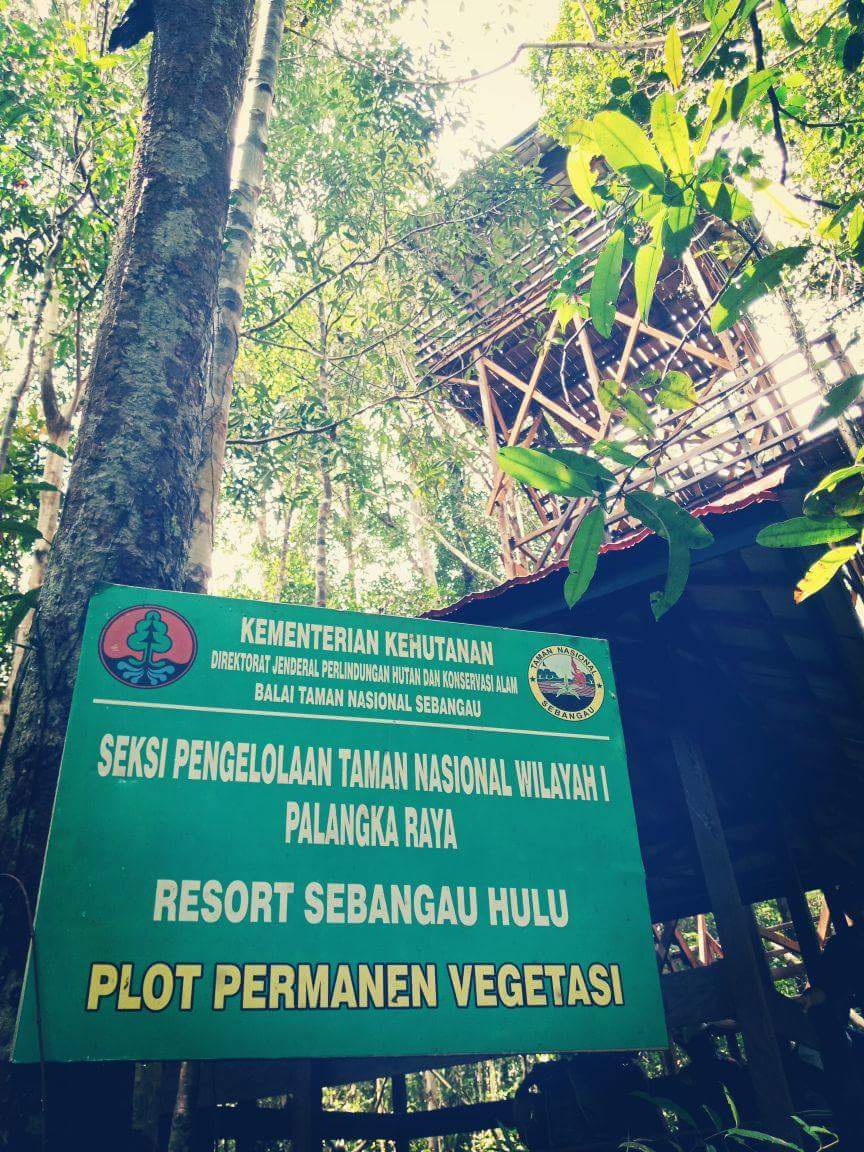 Upaya Pemerintah dalam Menarik Kunjungan Wisata Taman Nasional Sebangau 