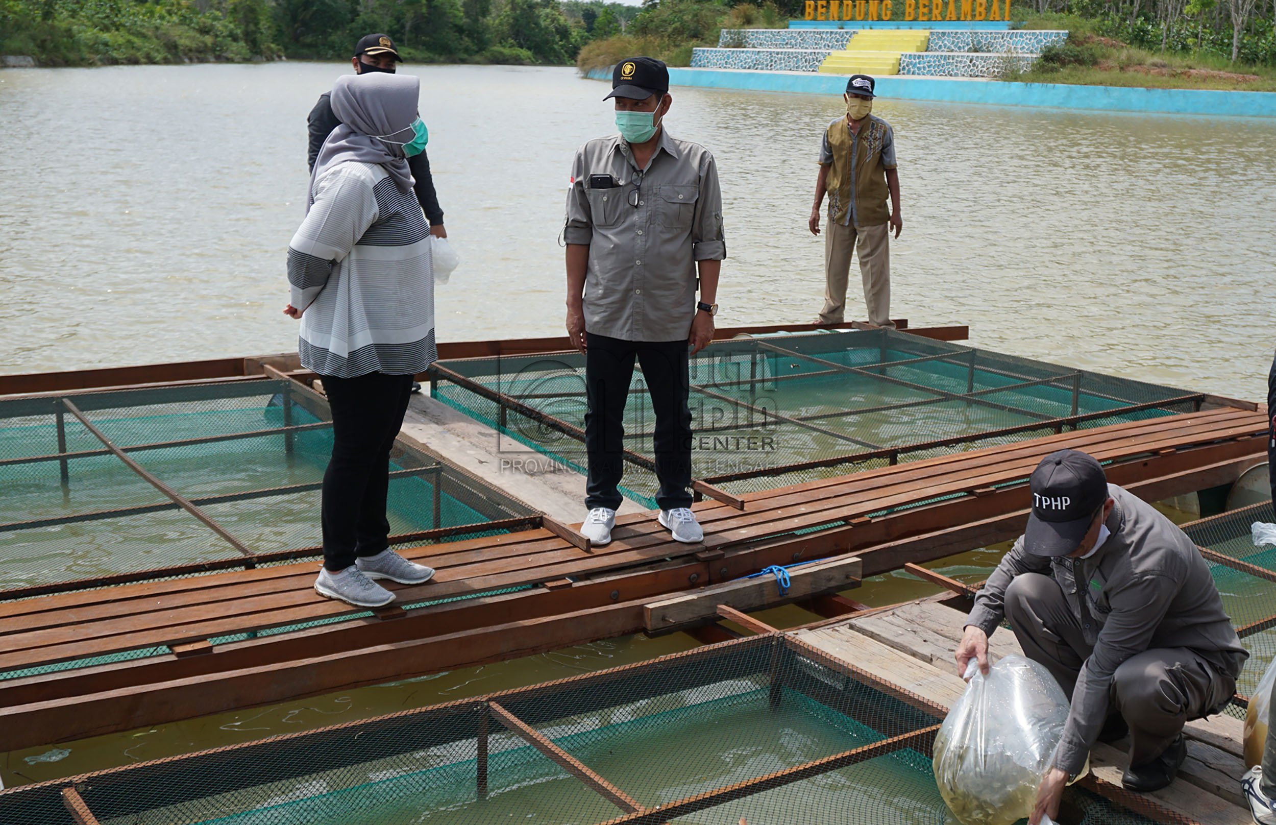 Perkuat Cadangan Pangan di Masa Pandemi, Bupati Tebar Benih Ikan di KJA Desa Berambai Makmur