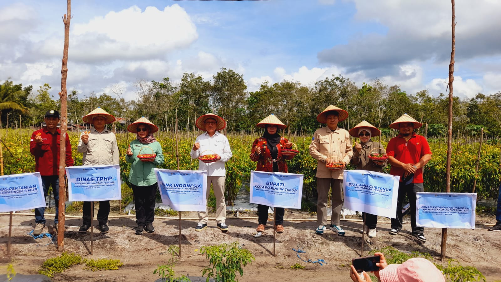 Sahli Gubernur Yuas Elko Ikuti Panen Perdana Digital Farming Komoditas Cabai di Kabupaten Kotawaringin Timur