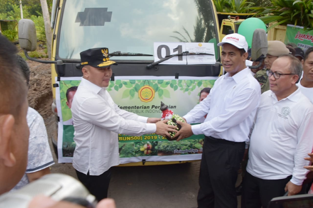 Mentan Bersama Gubernur Kalteng Launching Benih Bermutu Perkebunan 500 Juta Batang di Desa Sido Mulyo