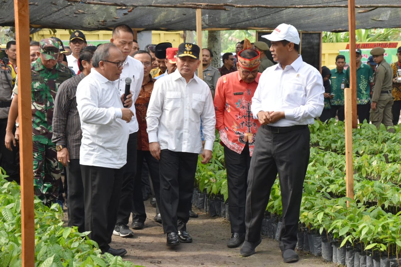 Mentan Bersama Gubernur Kalteng Launching Benih Bermutu Perkebunan 500 Juta Batang di Desa Sido Mulyo