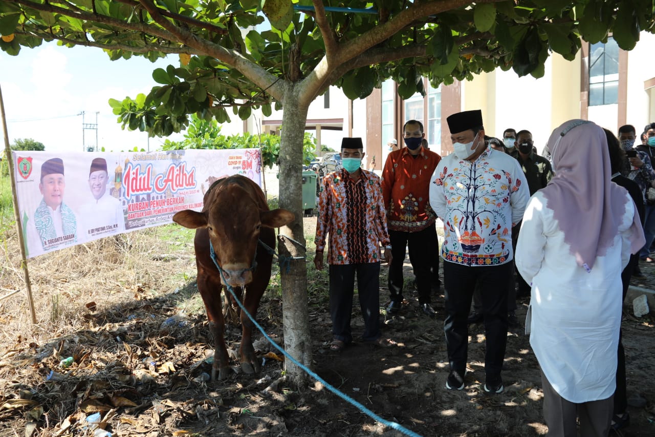Pemprov Wajibkan Panitia Mengantar Daging Kurban