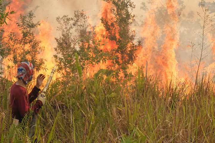 Kabut asap mulai terasa di Kota Palangka Raya