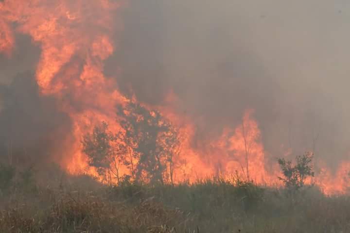 Kabut asap mulai terasa di Kota Palangka Raya