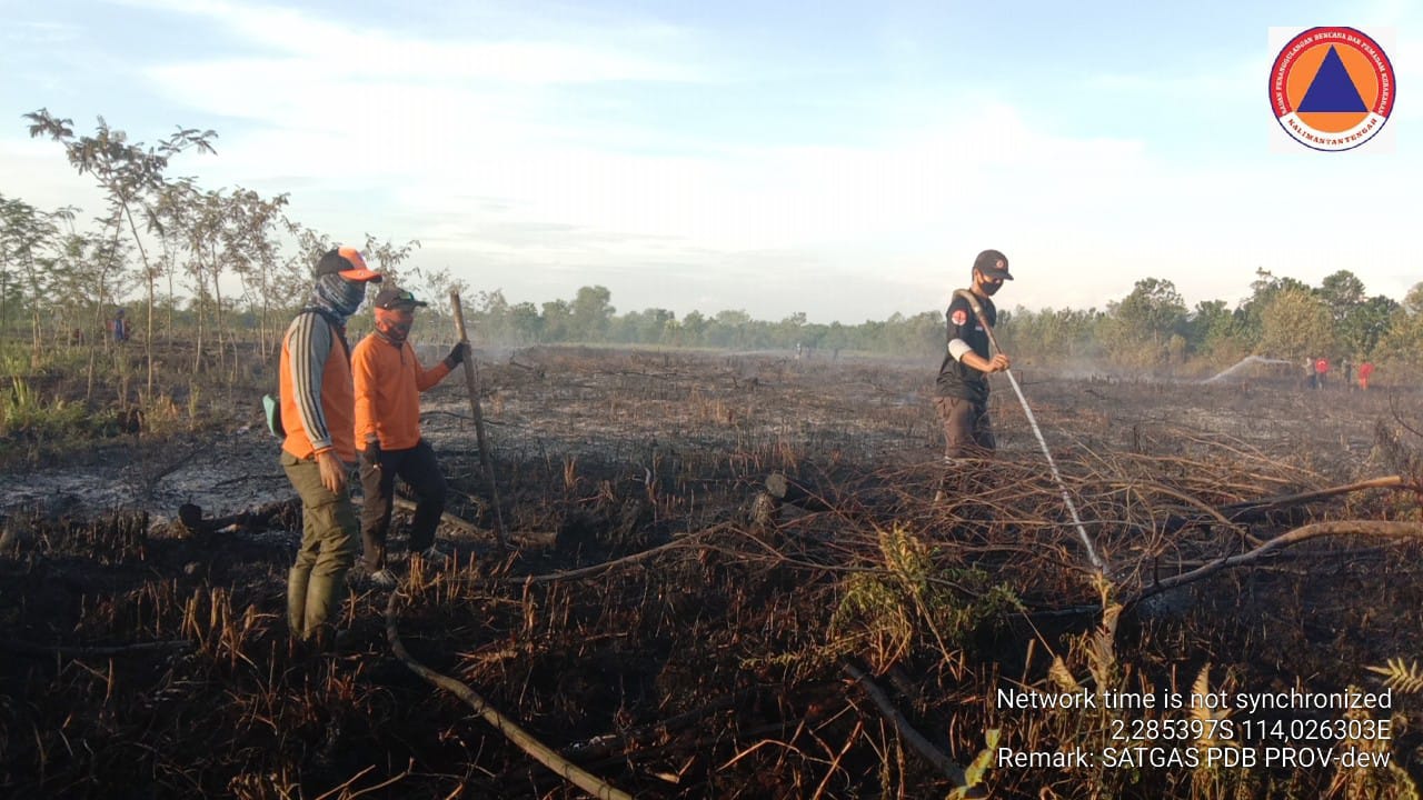 Pembersihan Lahan Dengan Cara Dibakar