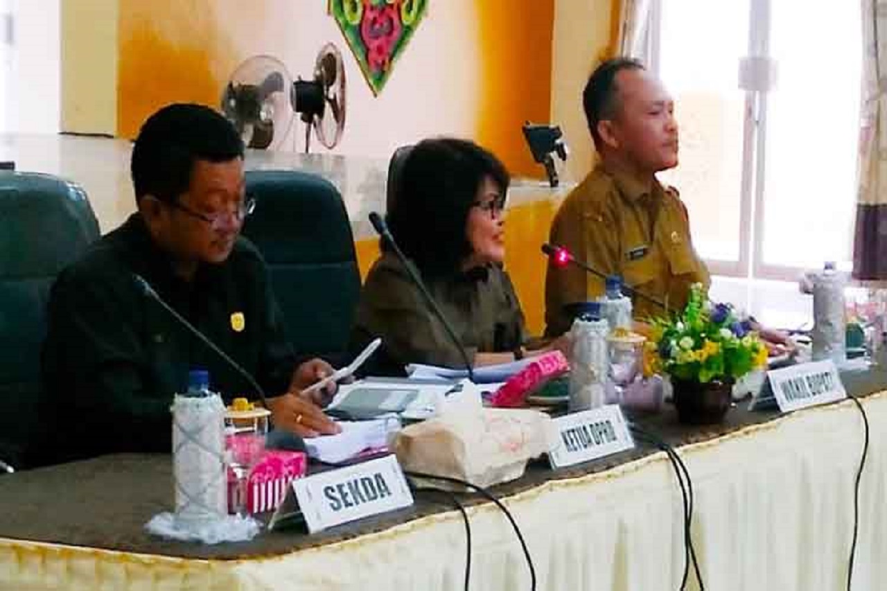 Wabup Pulang Pisau Buka Rapat Forum Perangkat Daerah Tahun 2019