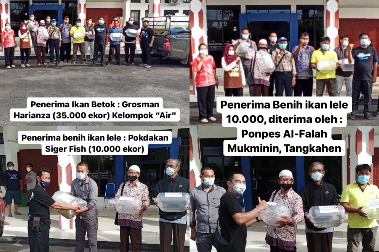 Dislutkan Kalteng Fasilitasi Bantuan Benih Ikan Betok dan Ikan Jelawat 