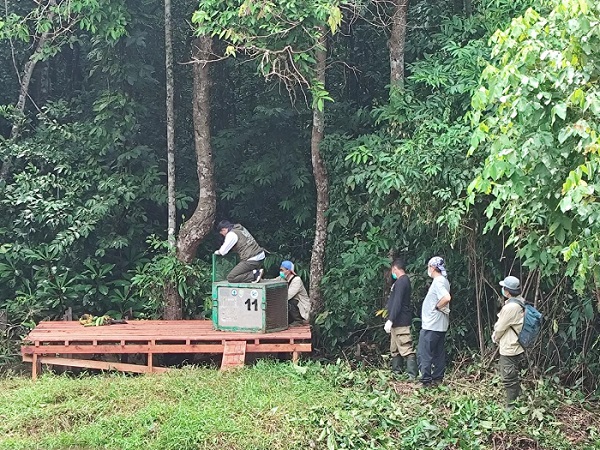 Jajaran Pemprov. Kalteng Dampingi Kunjungan Menhut RI ke Kawasan Konservasi Orangutan di Pulau Salat Kabupaten Pulang Pisau