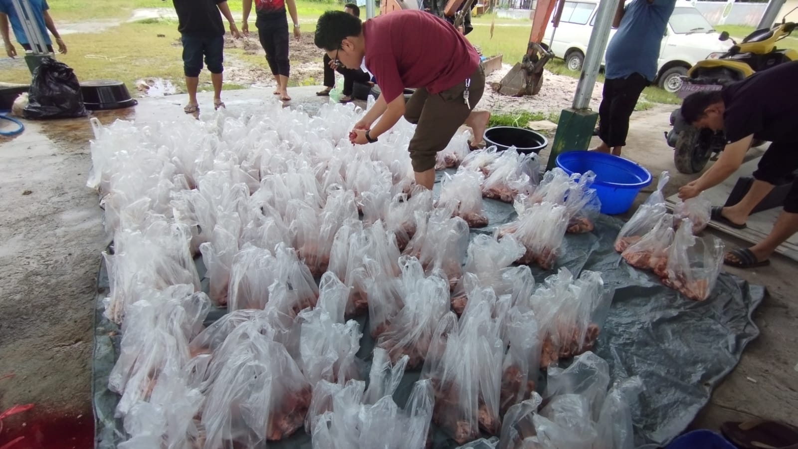 Peringati Iduladha 1445 H, RSJ Kalawa Atei Sembelih 1 Ekor Sapi