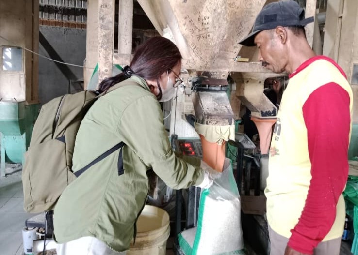 OKKPD Provinsi Kalimantan Tengah Laksanakan Pengawasan dan Pengambilan Sampel PSAT di Lokasi Penggilingan Padi Kabupaten Pulang Pisau