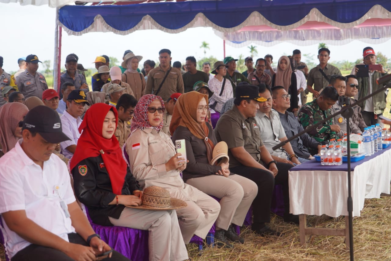 Wagub Kalteng Edy Pratowo Panen Perdana Padi Varietas IR 42/PB-42 di Desa Belanti Siam