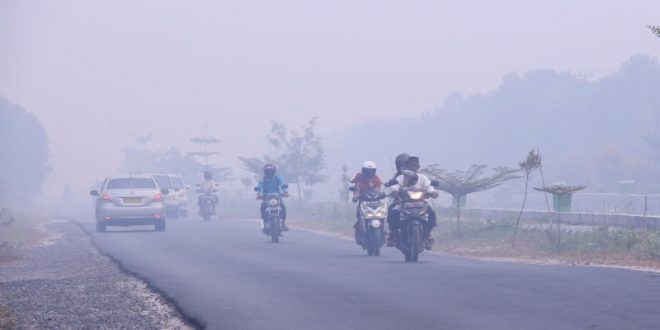 Kabut Asap, Antisipasi Lonjakan dan Kelangkaan Sembako