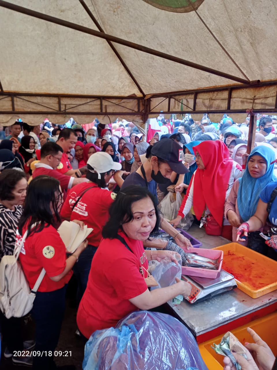 Dislutkan Kalteng Sediakan Ikan Segar di Pasar Penyeimbang dan Pasar Murah, Palangka Raya - Sampit