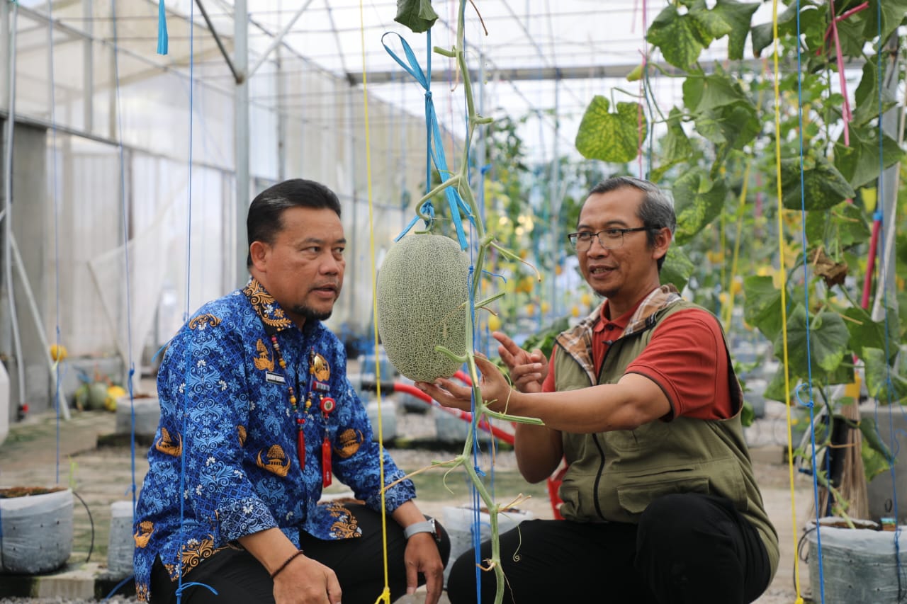 Dukung Visi Misi Gubernur, Dinas TPHP Prov. Kalteng Gandeng UPN Veteran Yogyakarta Dalam Penelitian dan Budidaya Melon