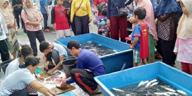 Ikan Kaya Protein dan Asupan Gizi