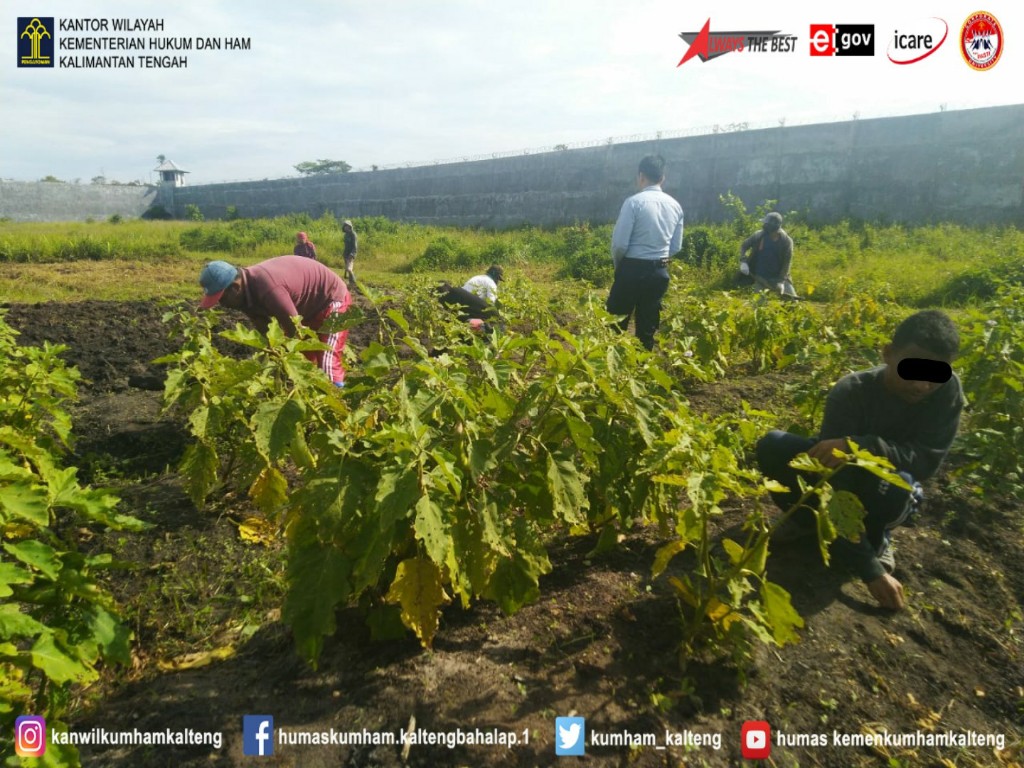 WBP Lapas Sukamara Antusias Mengikuti â€œProgram Pembinaan Giatjaâ€