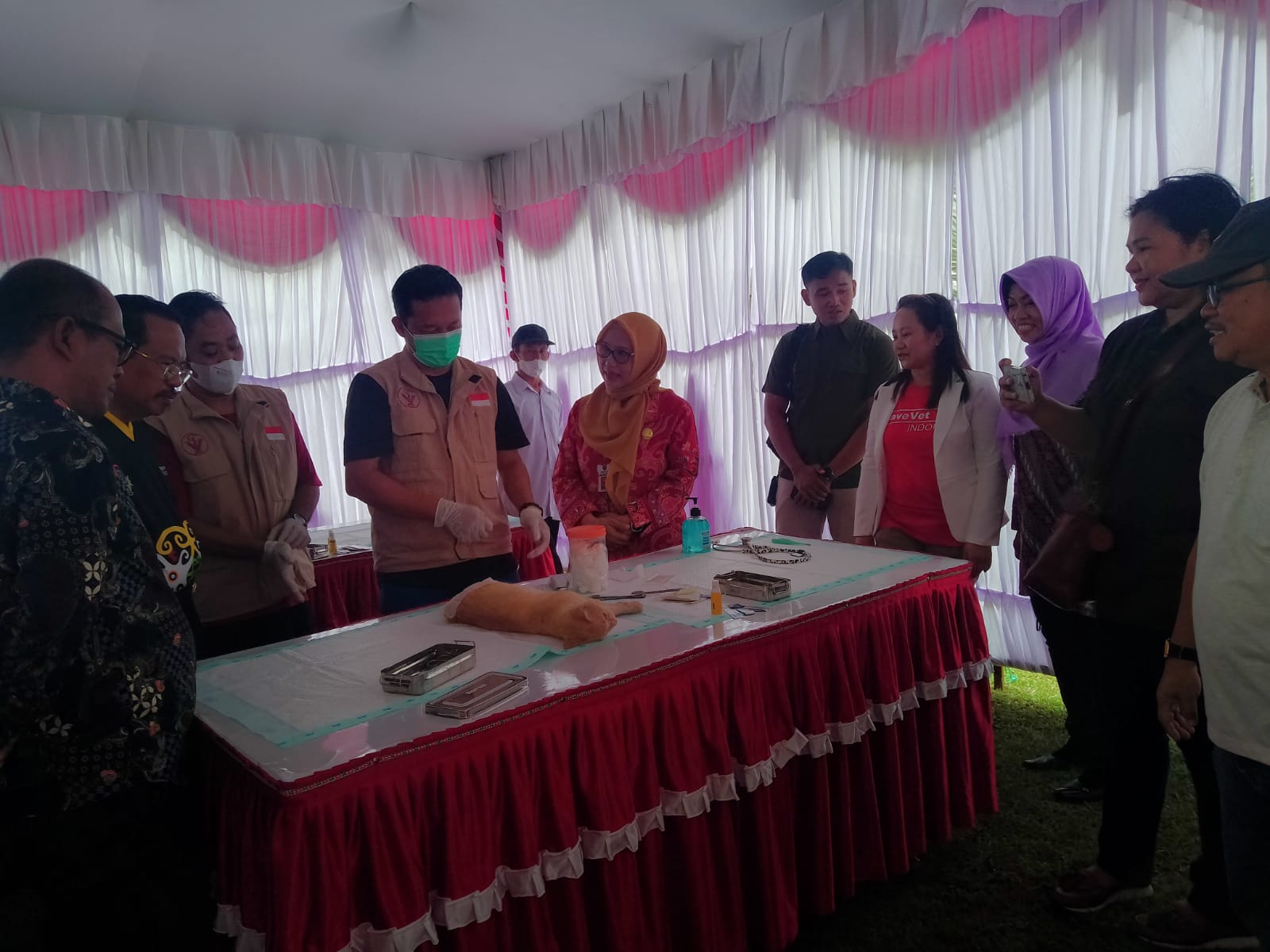 Harjad ke-66 Provinsi Kalteng, Dinas TPHP Prov. Kalteng Laksanakan Vaksinasi Rabies dan Kastrasi/Kebiri Kucing Lokal Jantan Gratis