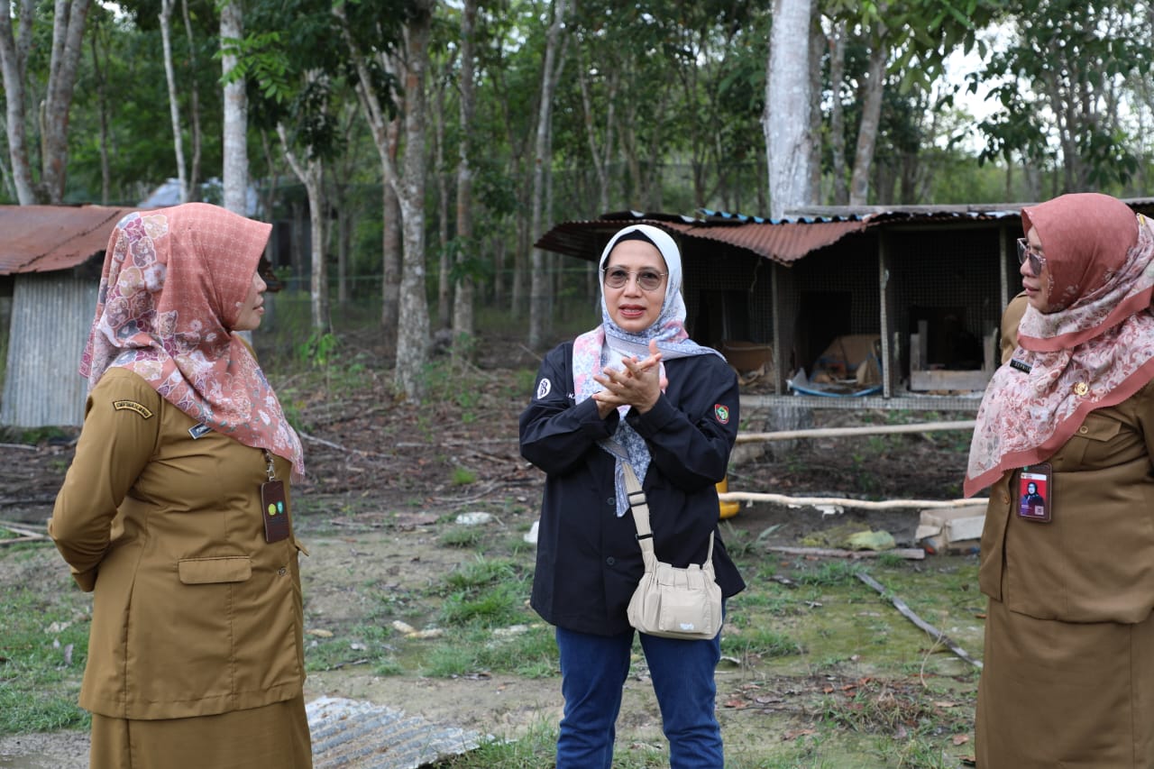 Kunjungan Kepala Dinas TPHP Prov. Kalteng, Dorong Pengembangan Hibah Ternak dan Pabrik Pakan Rumahan di Kotawaringin Timur