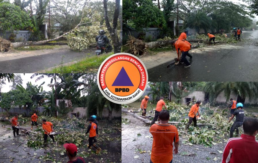 Tim Reaksi Cepat BPBD Kobar Sigap Atasi Pohon Tumbang
