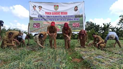 Kalteng Swasembada Benih Unggul Bawang Merah