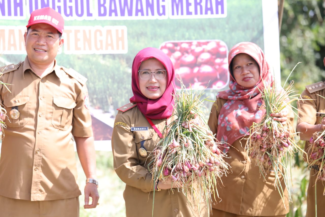 Kalteng Swasembada Benih Unggul Bawang Merah