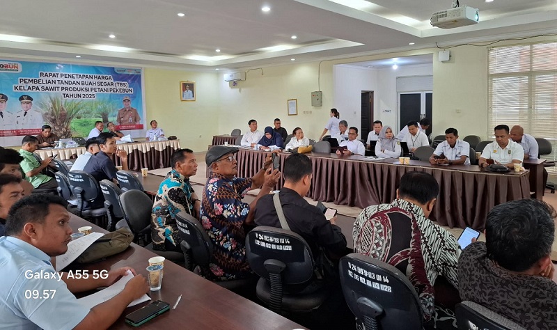 Gelar Rapat Penetapan Harga Pembelian TBS Periode I Bulan Februari 2025, Harga TBS dan CPO Kalteng Naik