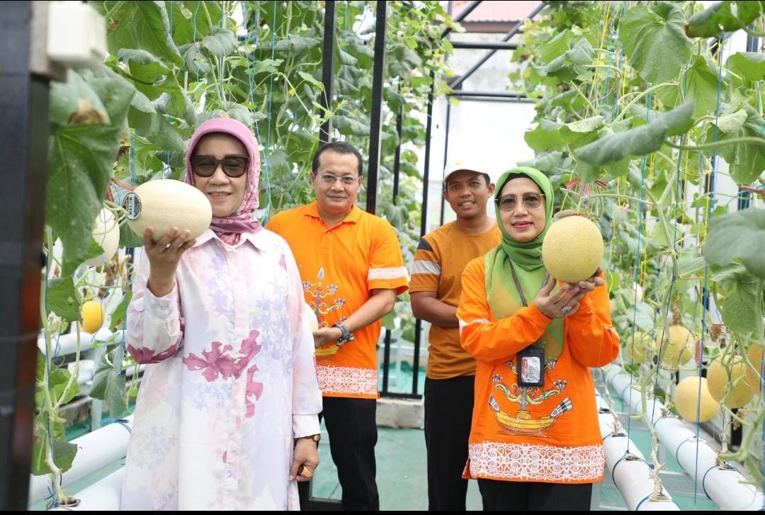 Kadis TPHP Prov. Kalteng Kunjungi Kelompok Petani Melon Hidroponik di Palangka Raya