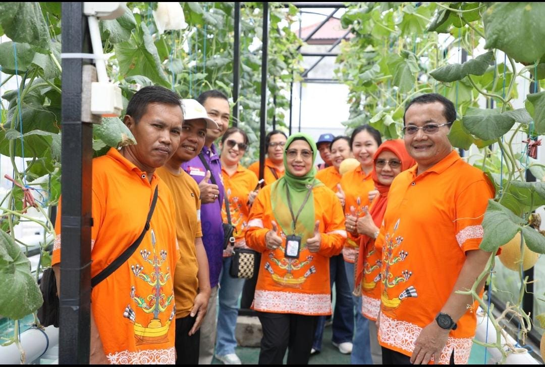 Kadis TPHP Prov. Kalteng Kunjungi Kelompok Petani Melon Hidroponik di Palangka Raya