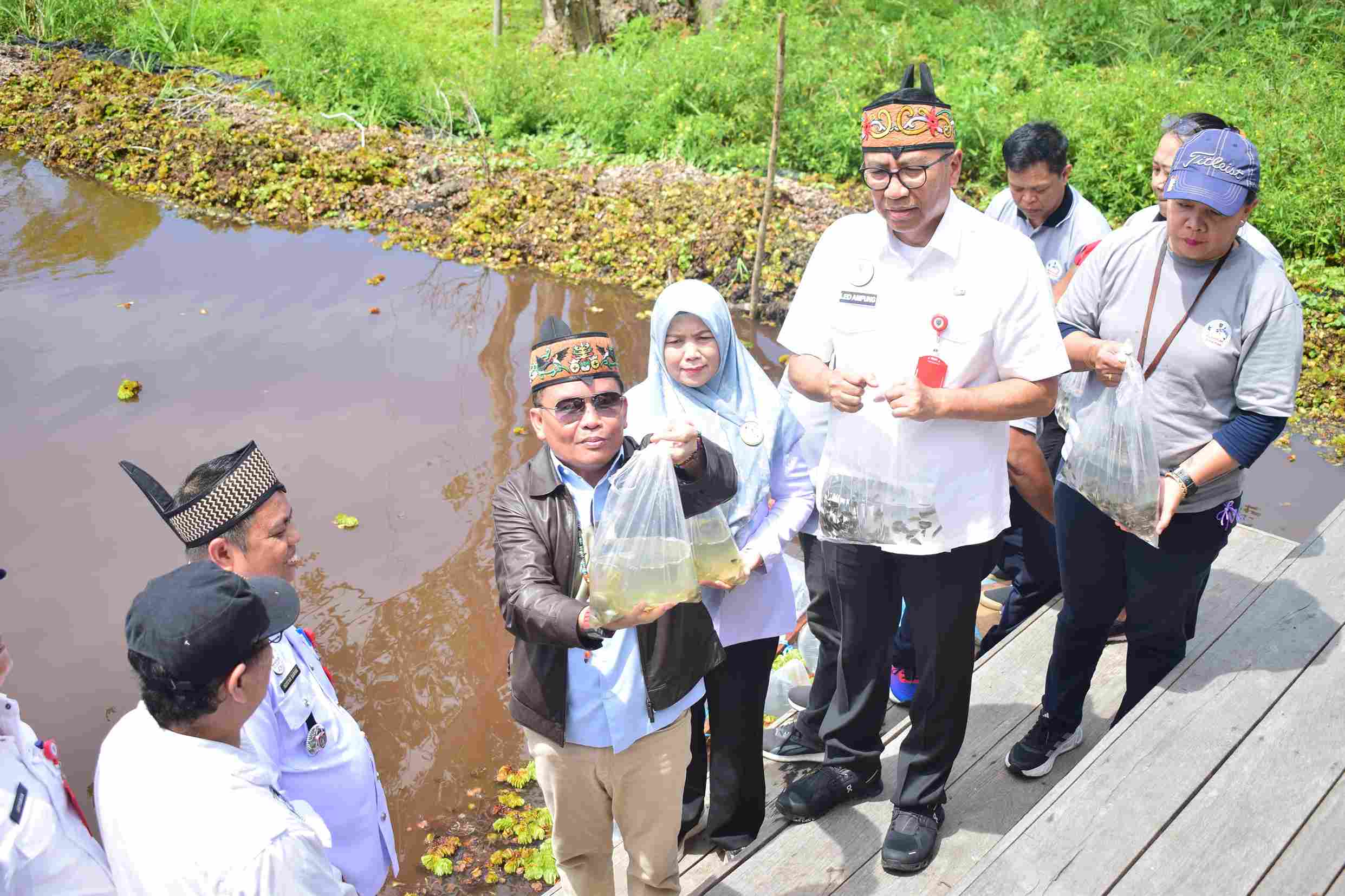 Gubernur Kalteng Restocking Benih Ikan Betok di Danau Tahai, Hutan Kota Nyaru Menteng